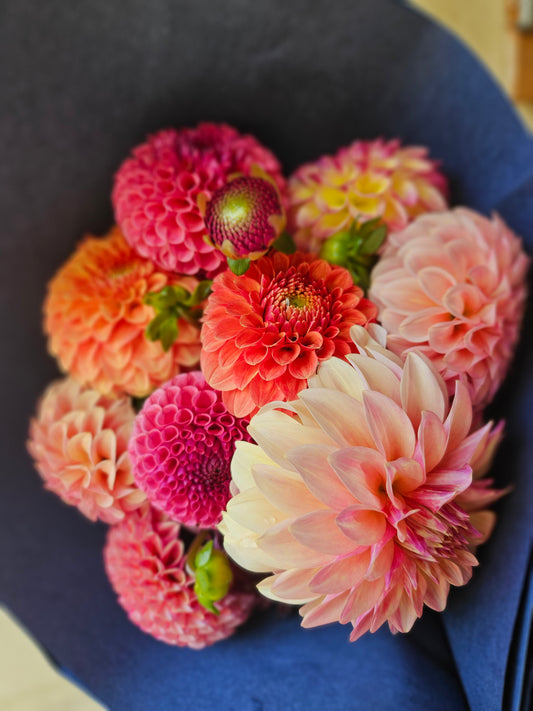 Dahlia Bunch