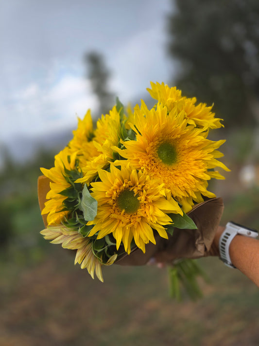 Sunflower Bunch