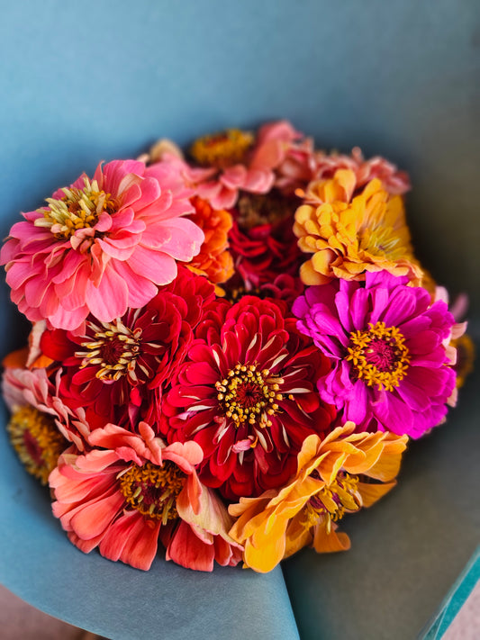 Zinnia Bunch