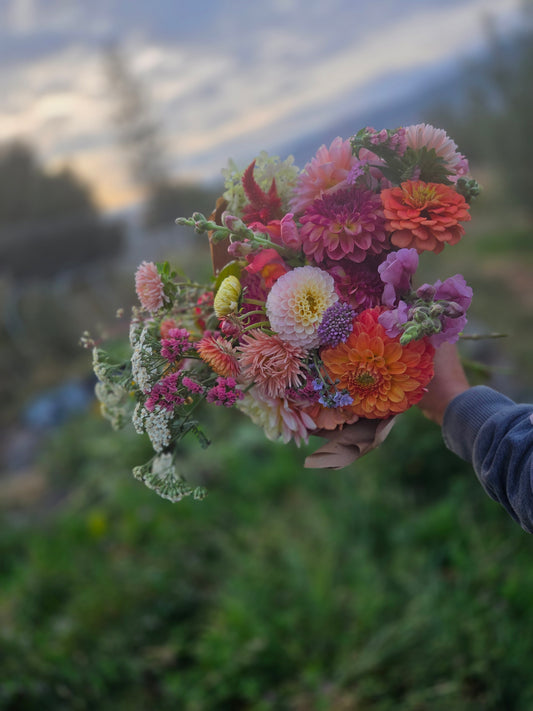 September Colours